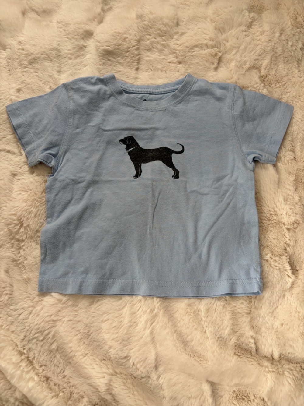 The Black Dog Light Blue T-Shirt with Black Logo